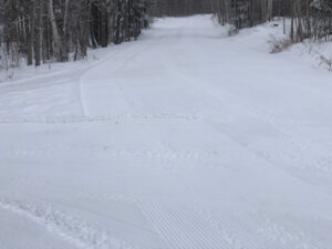 Groomed Ski Trail