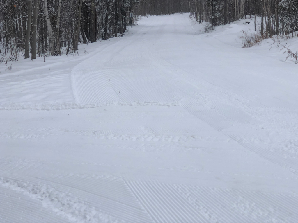 Groomed Ski Trail