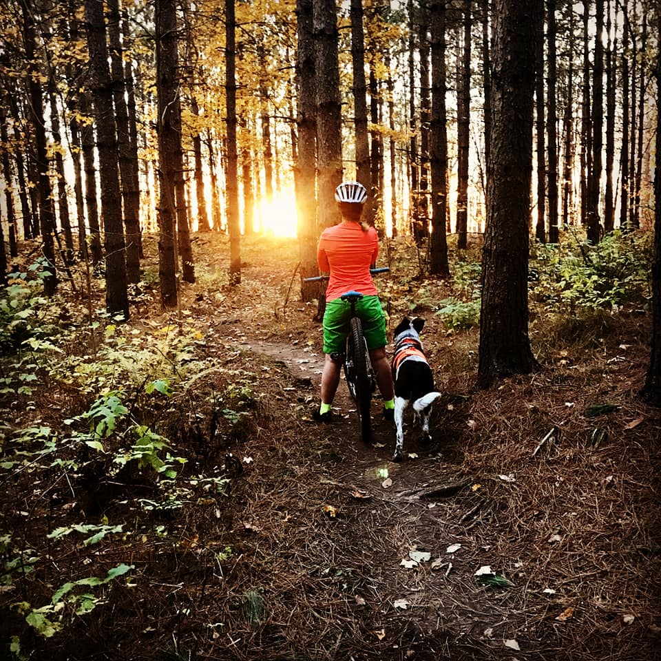 mtb dog background sunset through the pines