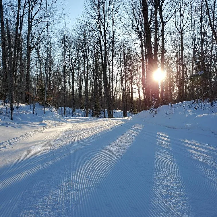trail Winter Sunrise