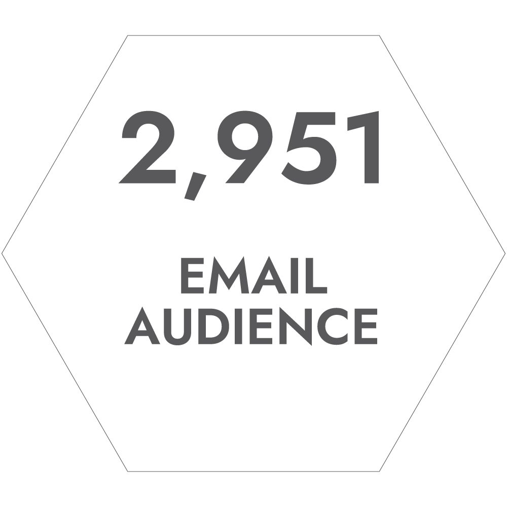 Email Audience Email Audience