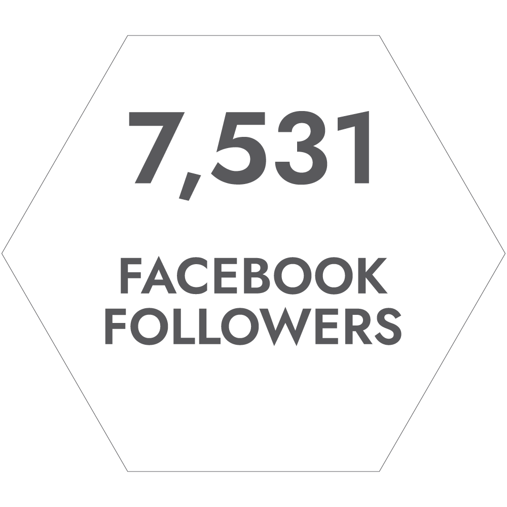 Facebook Followers Facebook Followers