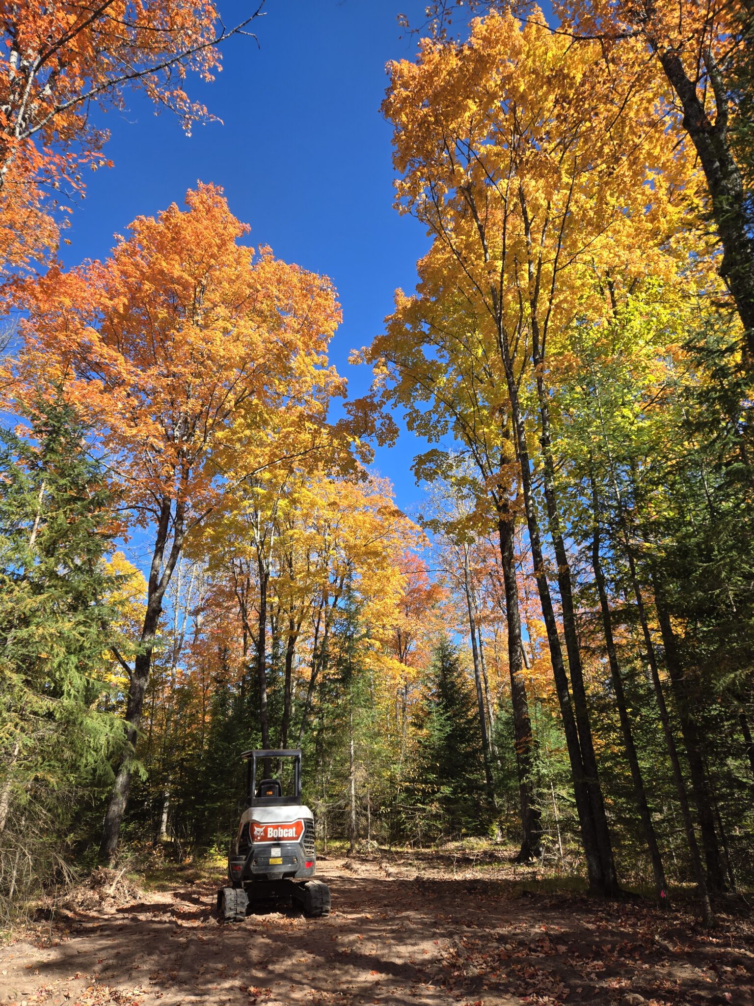 camp excavator campsite clearing