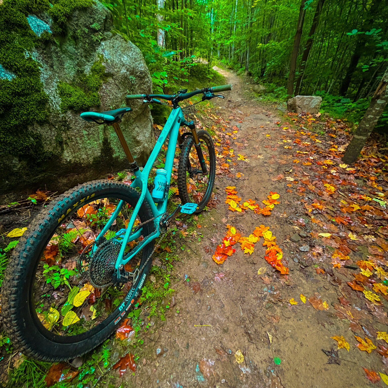 MTB creatorcamp wm leaves